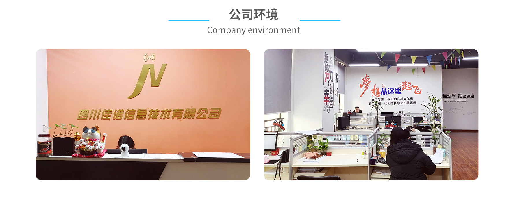 公司环境